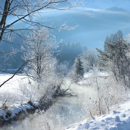 Ferienwohnung Natur Ehrwald