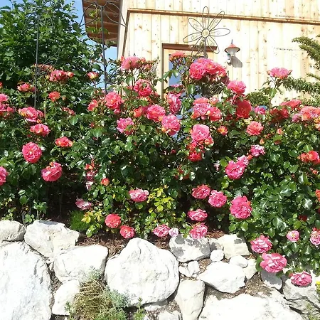 Ferienwohnung Natur